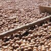 Crema de Macadamia con Cocoa