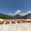 El Estribo, café de especialidad