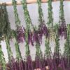 Infusión de Toronjil
