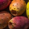 Mermelada de Xoconostle