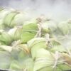 Tamal Mimilo Vegetal