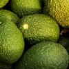 Shampoo-Bar Aguacate