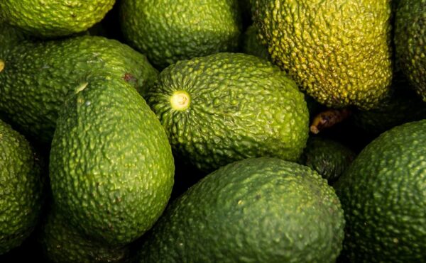 Shampoo-Bar Aguacate