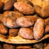 Granos de Cacao Crudo