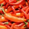 Salsa Chile Serrano-Ajonjolí