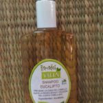 Shampoo de Eucalipto