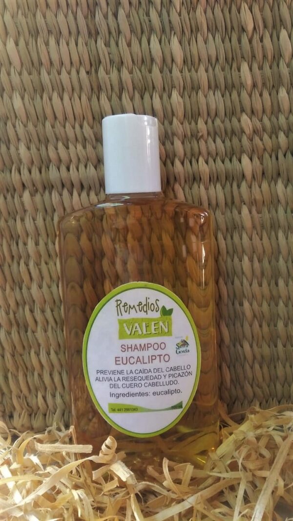 Shampoo de Eucalipto