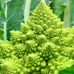 Brócoli Romanesco