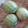 Calabacita Criolla