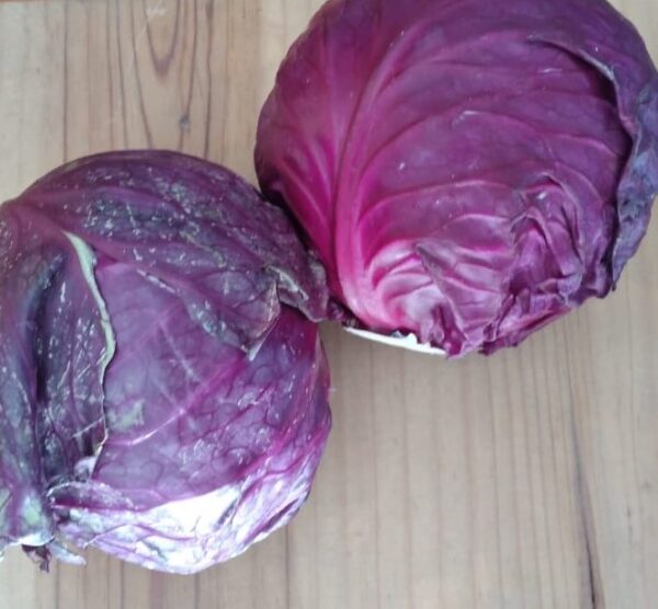 Col Morada