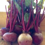 Betabel Early Blood Turnip