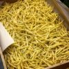 Ejote Amarillo