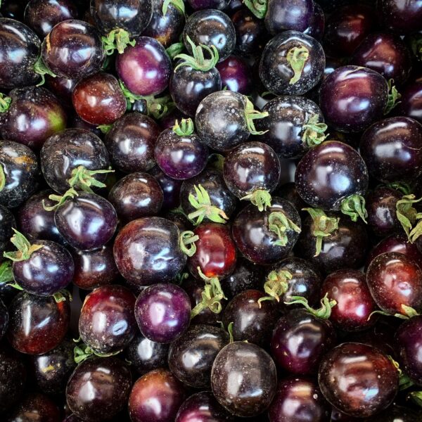 Cherry Indigo
