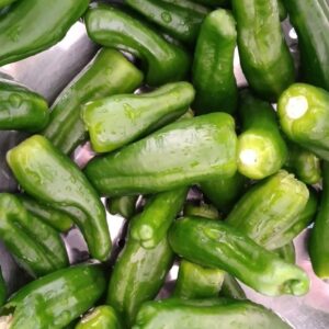 Pimientos del Padrón