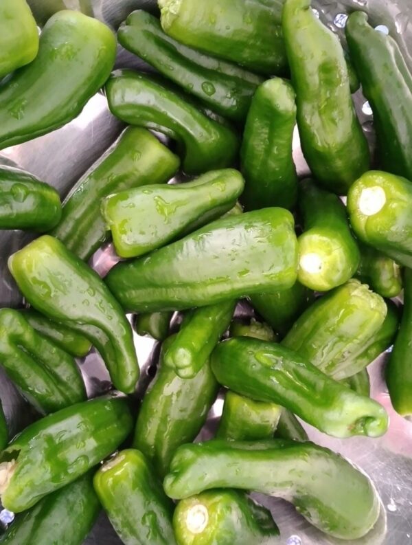 Pimientos del Padrón