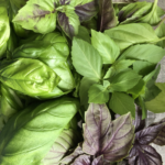 Albahaca Mixta