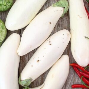 Berenjena Aretussa (Blanca)