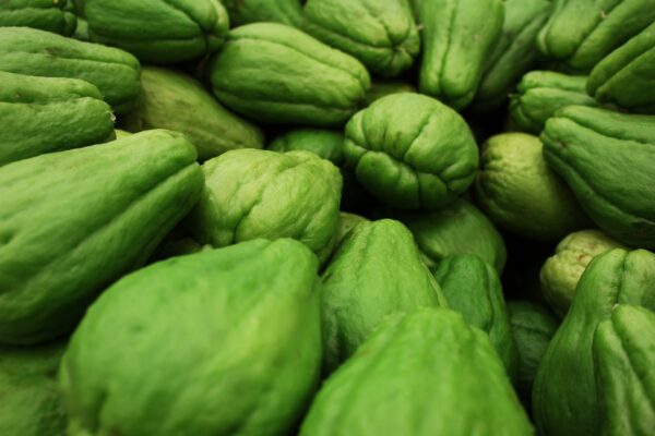 Chayote (sin espinas)