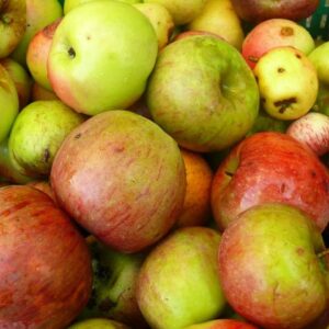 Manzana Rayada (Roja/Verde)