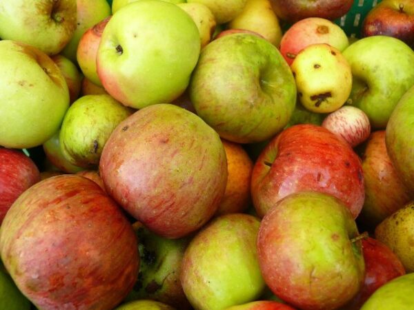 Manzana Rayada (Roja/Verde)