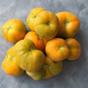 Jitomate Orange Peach