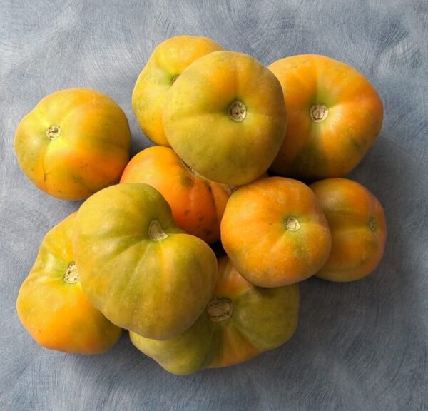 Jitomate Orange Peach