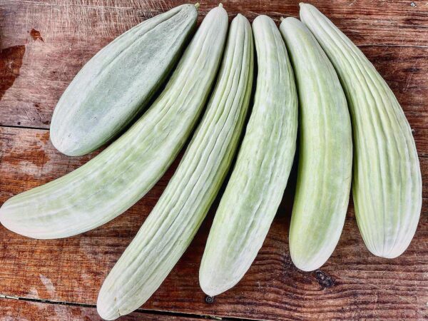 Pepino Armenian
